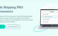 Flexible Shipping PRO WooCommerce v2.18.4 [by Octolize, WpDesk]