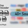 All in One Video Downloader Script