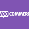 WooCommerce Google Analytics Pro