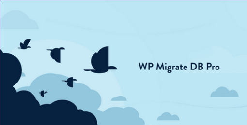 WP Migrate DB Pro v2.6.12 + Addons