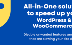 (v3.4.4) disable bloat for wordpress woocommerce pro(v3.4.4) Disable Bloat for WordPress & WooCommerce PRO