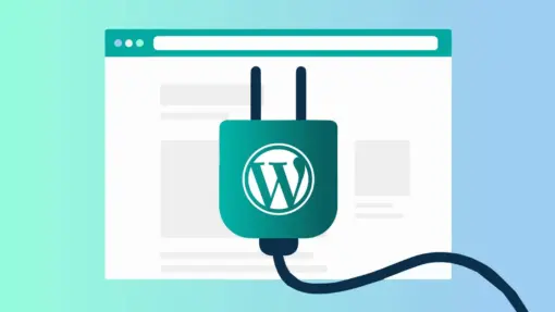 wordpress eklenti satin al