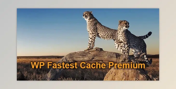 WP Fastest Cache Premium Nedir, Nasıl Kullanılır?