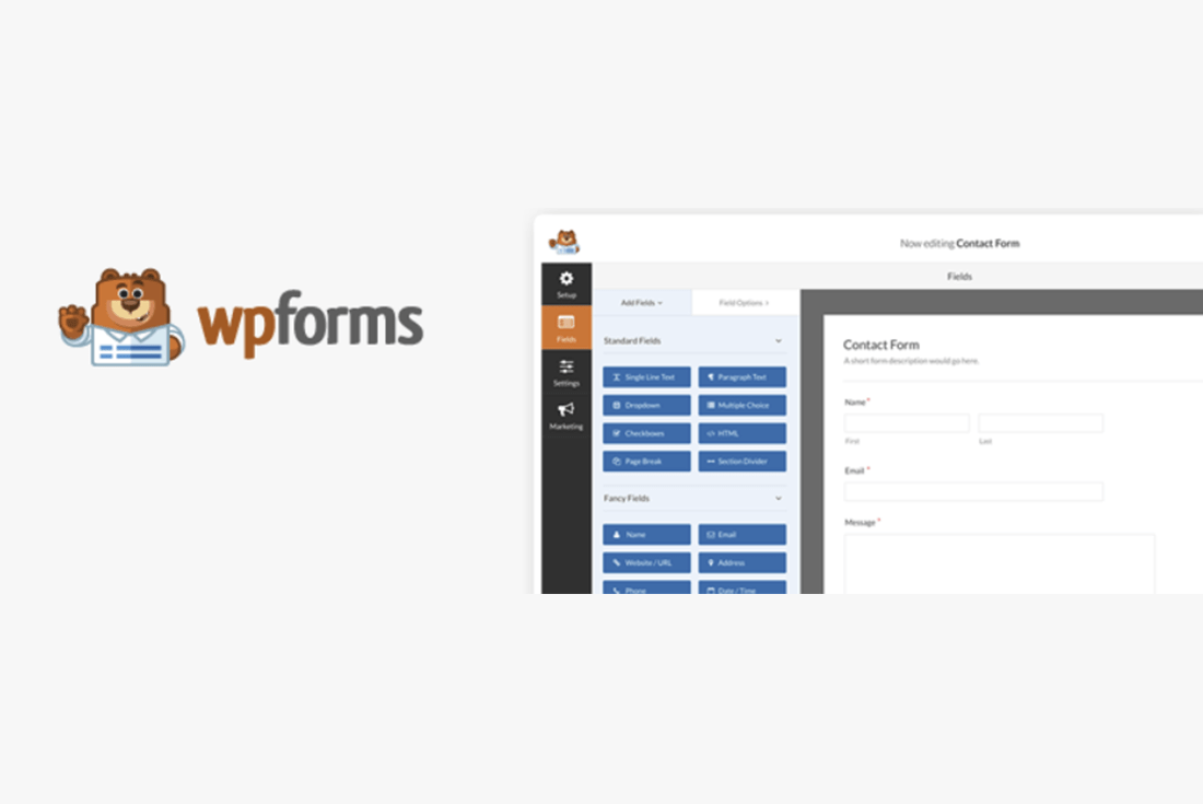 WPForms Pro WordPress Eklentisi Nedir?