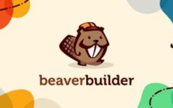 Beaver Builder PRO (Agency) (v2.8.3.1) + Theme v1.7.16