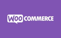 WooCommerce Deposits & Partial Payments v3.1.8 [Acowebs]