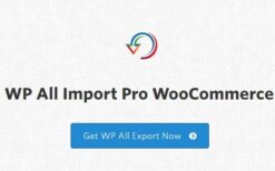 wp all import - woocommerce add-on