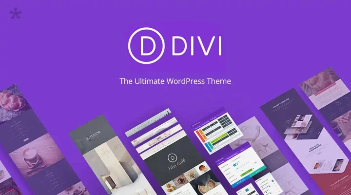 divi tema wordpress