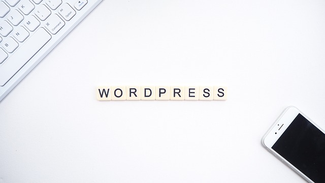 WordPress Güvenliği Nasıl Sağlanır? Başlangıç Rehberi 