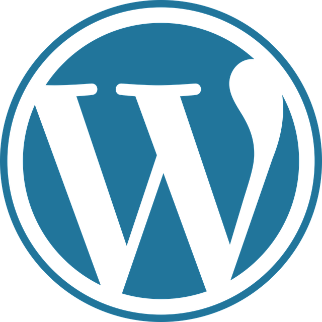 WordPress SEO Ayarları İçin Hangi Eklentiler Tercih Edilmeli? 