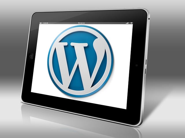 WordPress SEO Ayarları Nasıl Yapılır? 2024 Güncel Rehber