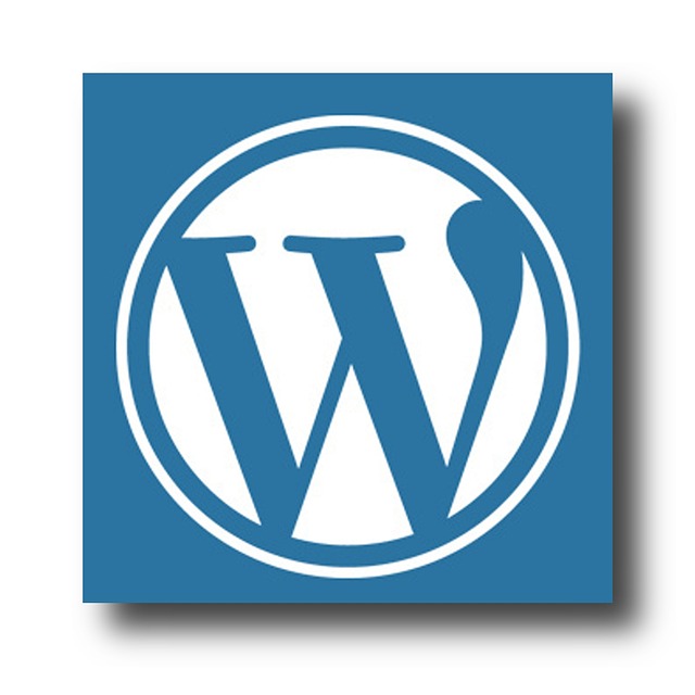 WordPress Temaları Özelleştirme Adımları ve Püf Noktaları 