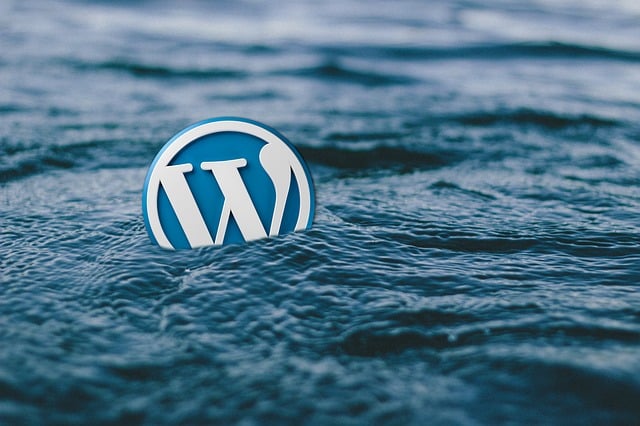 WordPress Üzerinde CDN (İçerik Dağıtım Ağı) Nasıl Kurulur? 